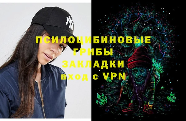 стафф Майский