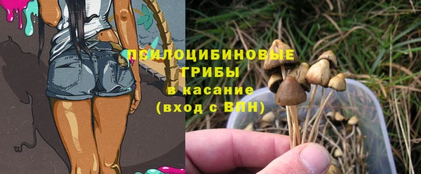 крисы Липки