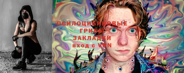 стафф Майский