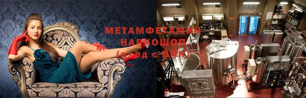 крисы Липки