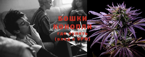 стафф Майский