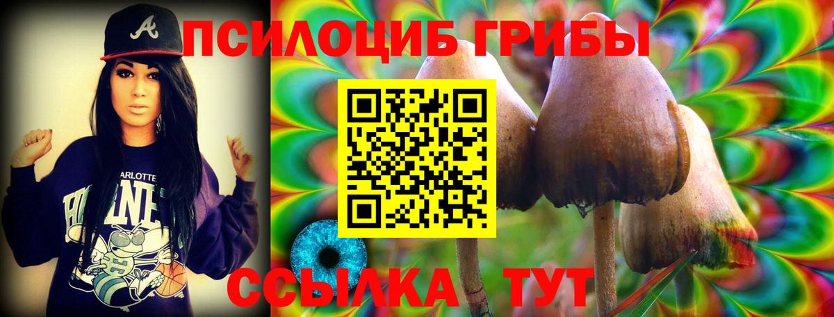 Псилоцибиновые грибы Psilocybe  Галлюциногенные грибы MAGIC MUSHROOMS  Наро-Фоминск 